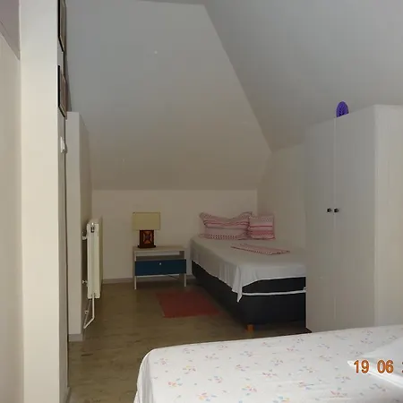 Guest house Pensiunea Casa Harghita