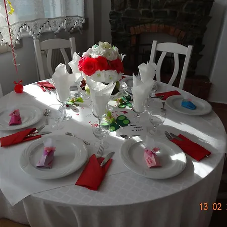 Guest house Pensiunea Casa Harghita